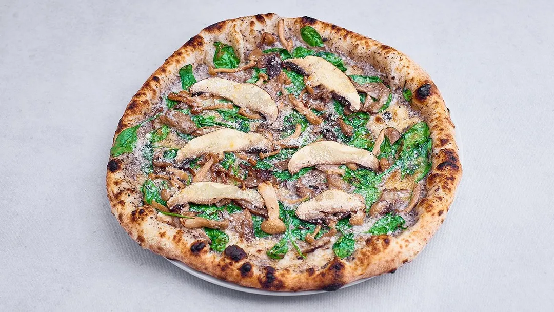Funghi