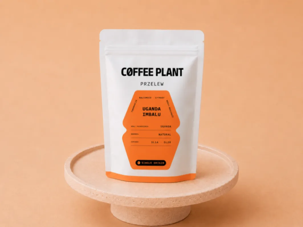 Gwatemala San Marcos, Palarnia: Coffee Plant