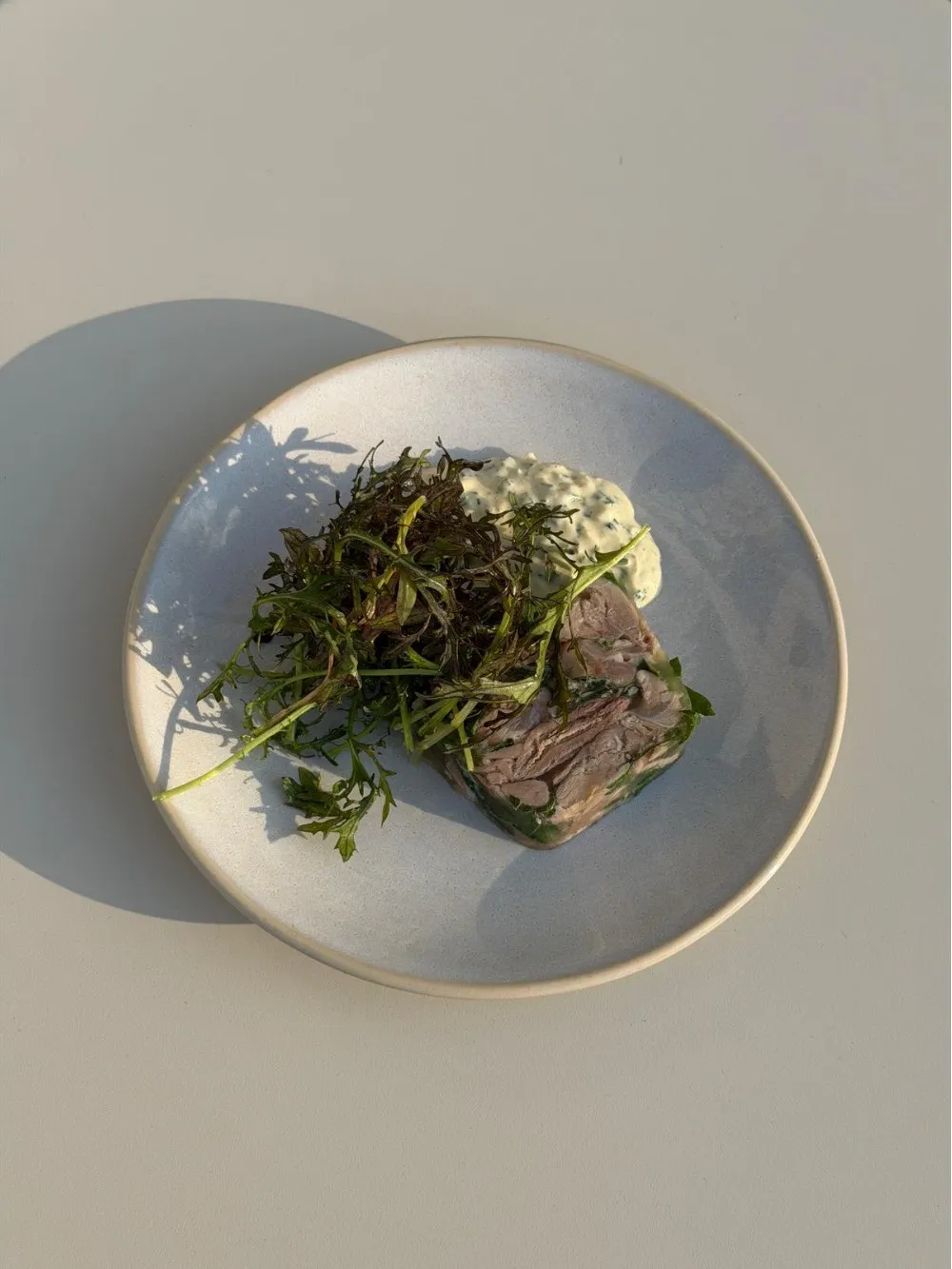 Terrina z golonki, sos gribiche, musztardowiec