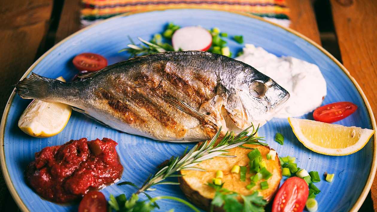 Gilt-head Bream