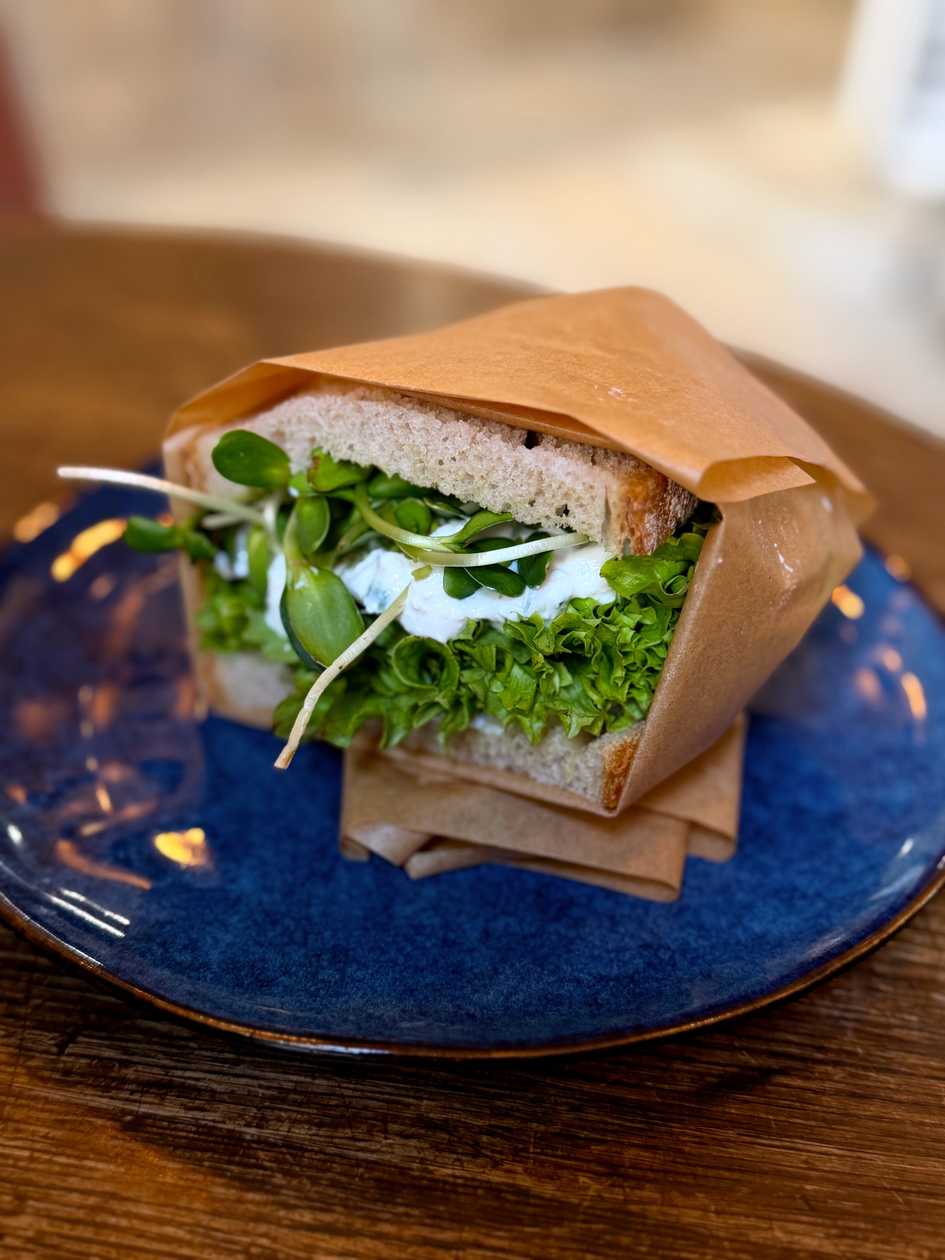 COTTAGE CHEESE SANDWICH