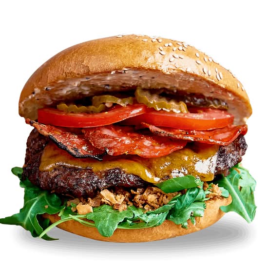Crispy Burger