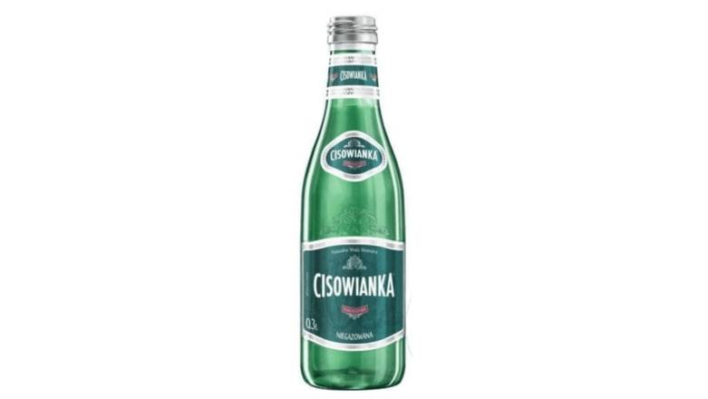 Woda 0,3l